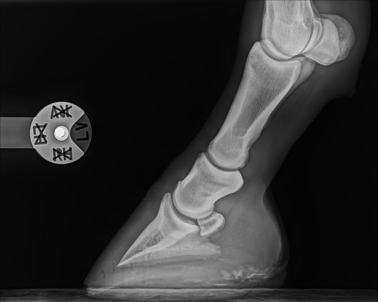 Multiclip DR røntgenmarkeringsclips. Viser: LAT/MED/DV/VD. Ø skive: 5 cm,  hulbredde: 2,7 cm